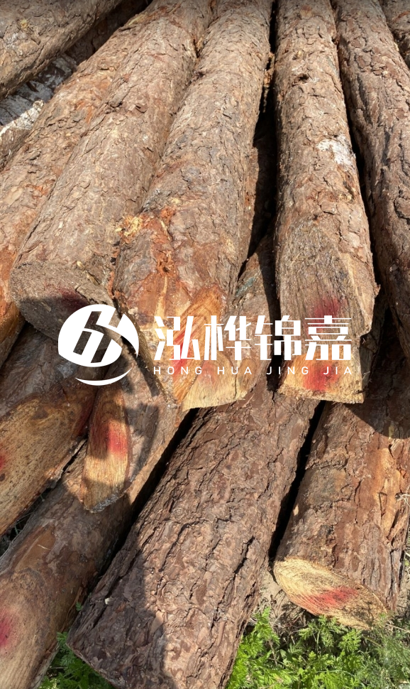 <strong>松木樁和杉木樁的用途區(qū)別？哪個更適合打樁用？</strong>