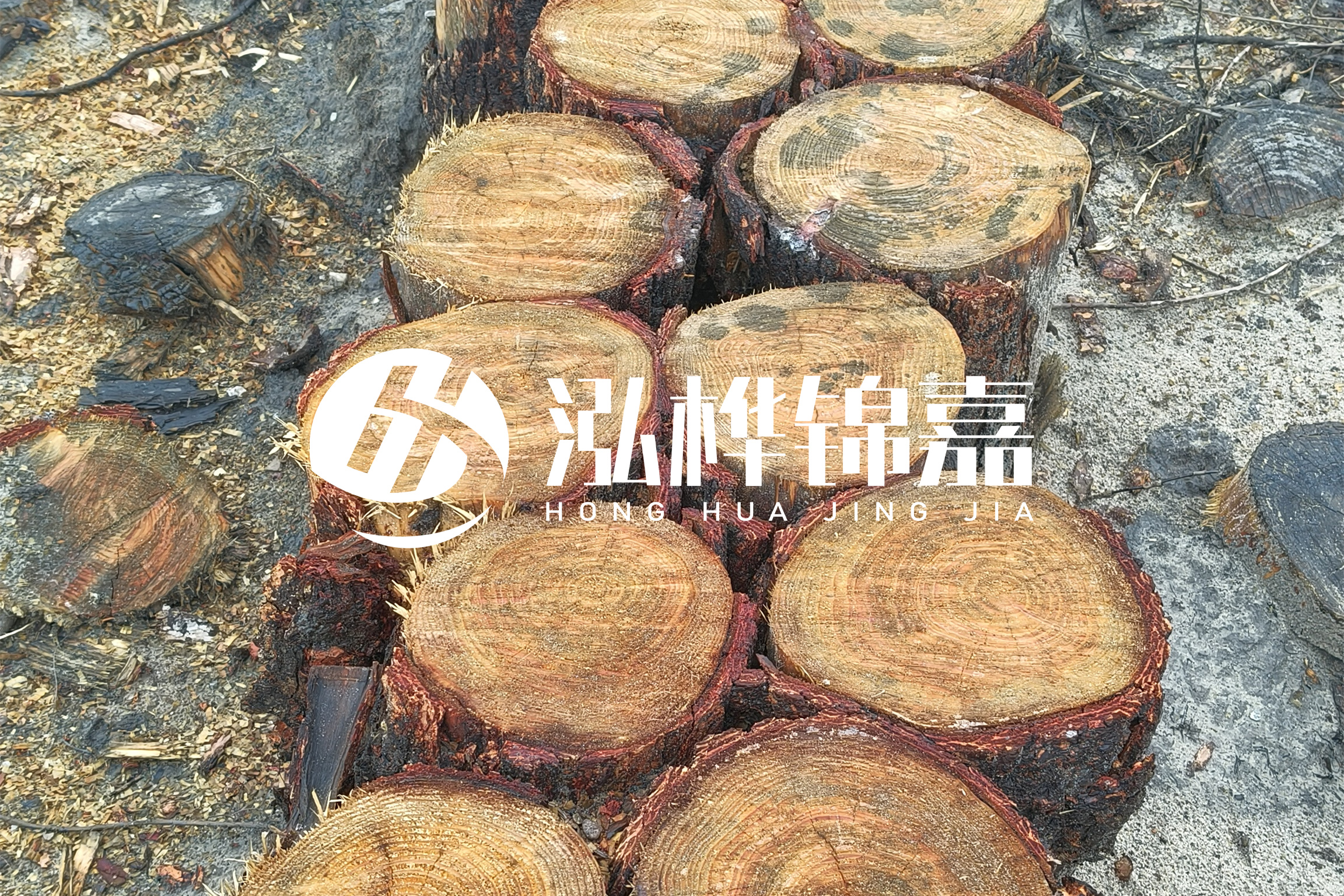浙江臺(tái)州有清淤的公司嗎？浙江臺(tái)州有清淤施工隊(duì)嗎？