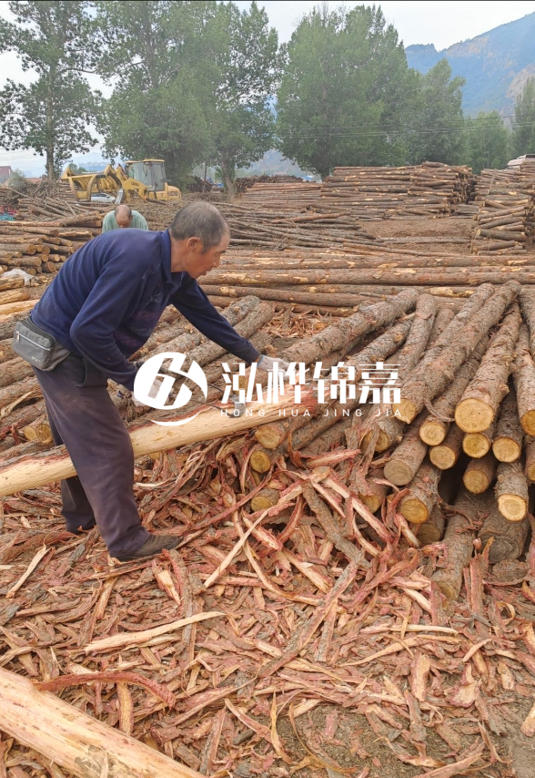 東營河道清淤專業(yè)施工隊-不同型號挖機清淤能力對比？
