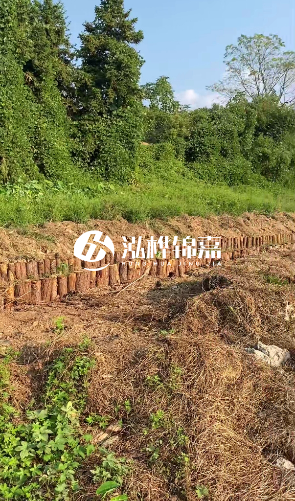 許昌河道清淤專(zhuān)業(yè)施工-河道污水治理要多長(zhǎng)時(shí)間？
