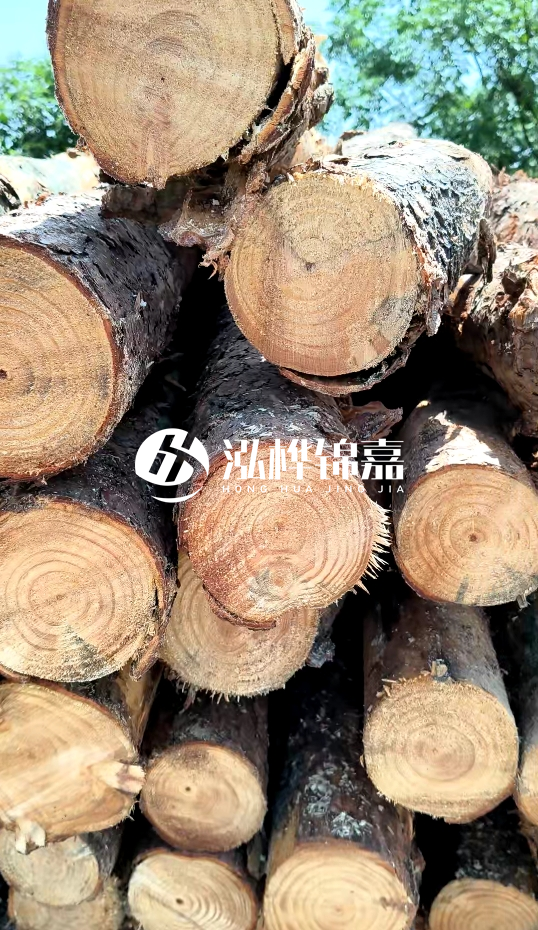 周口挖機打木樁專業(yè)施工-杉木樁施工打樁怎么打？