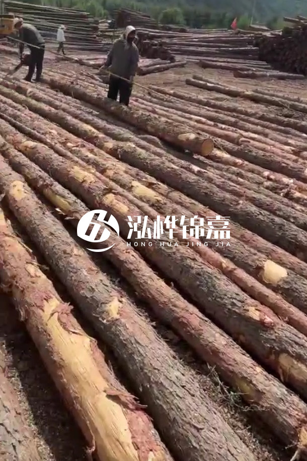 ?？谒赡緲对搭^廠家-松木樁最長(zhǎng)可以做多少米？