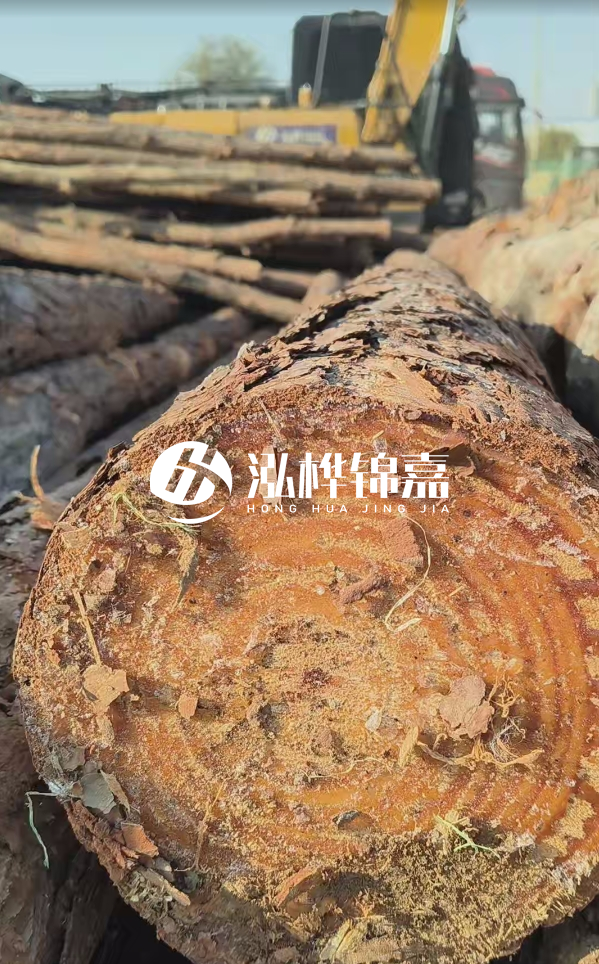 杉木樁價(jià)格多少錢一方-3米直徑14公分杉木樁價(jià)格？