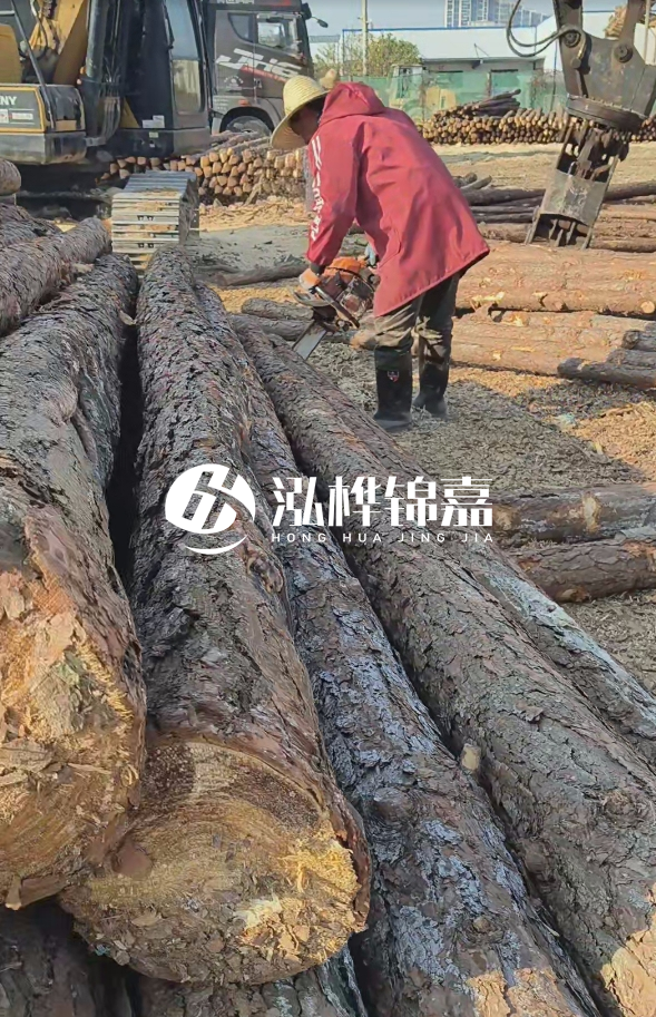 長沙打樁木批發(fā)廠家在哪里？聯(lián)系方式是什么？