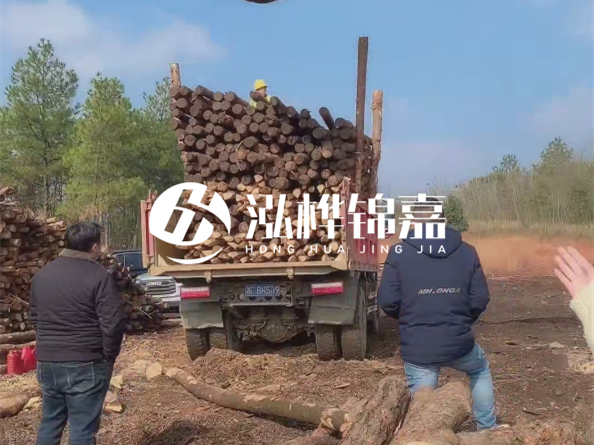 松木樁價格是按米算還是按根算？6米松木樁批發(fā)價每根多少錢？