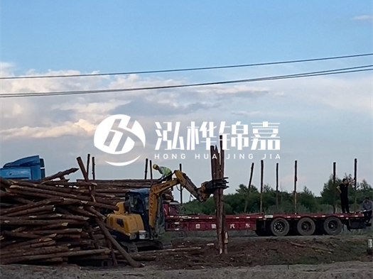 河北打樁木源頭廠家泓樺錦嘉 - 北方常用打樁木是什么？