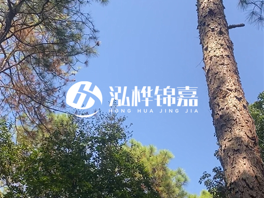 松木樁廠家泓樺錦嘉可以實(shí)地考察嗎？需要提前預(yù)約嗎？