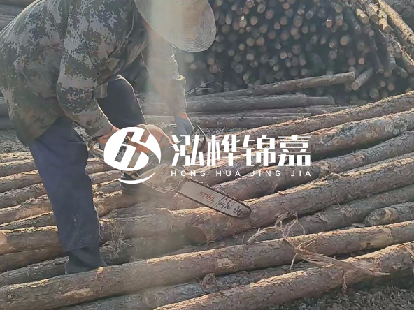 廣東打樁木源頭廠家泓樺錦嘉 - 如何選擇適合特定邊坡的松木樁？