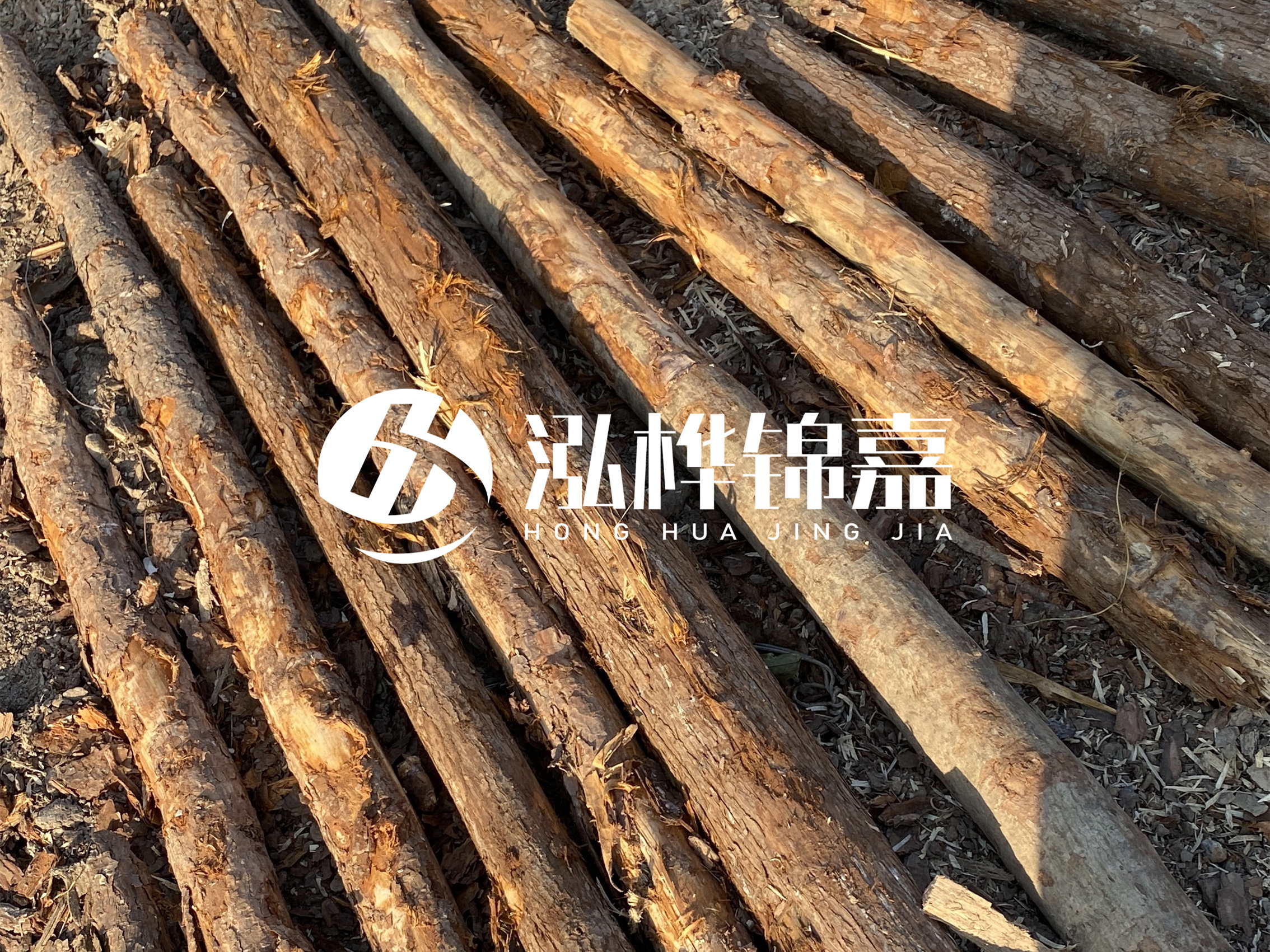 河道木樁多少錢一根？河道木樁的使用以及保養(yǎng)方法?