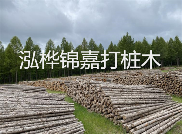 松木樁施工示意圖，了解施工過程，保證工程質量