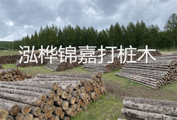 砼仿松木樁河岸施工，保護生態(tài)，打造美麗城市