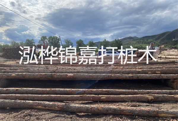 松木樁水下施工：無拖累，高效穩(wěn)固！