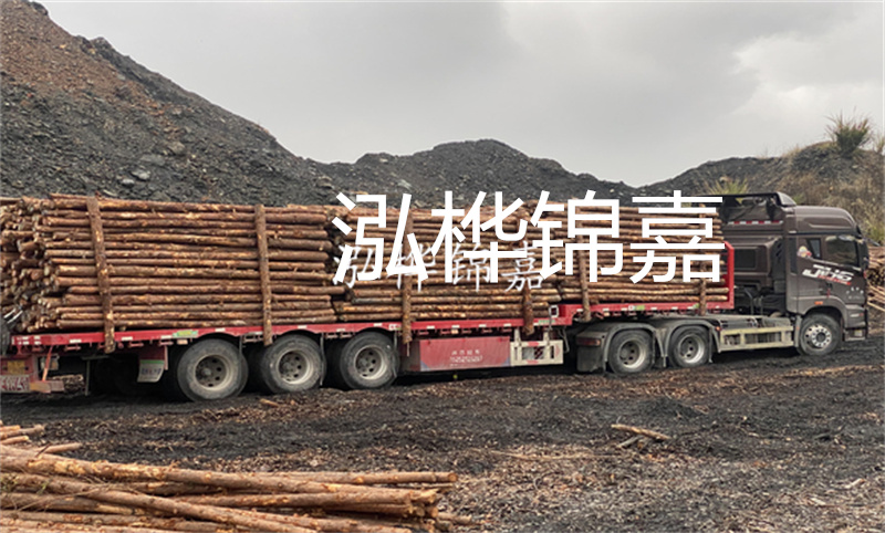松木樁施工圖片高清，打造穩(wěn)固耐用的建筑基礎