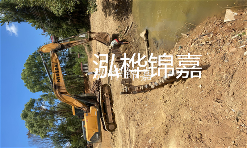 為什么松樹(shù)和云杉不能種在一起？
