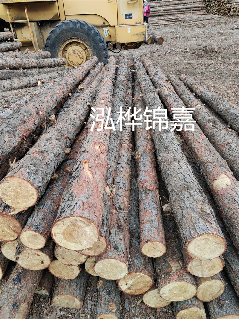 加工廢木頭顆粒要投資多少錢(qián)？