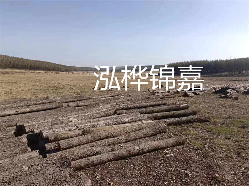 鄂州松木樁哪里好？推薦泓樺錦嘉松木樁業(yè)！